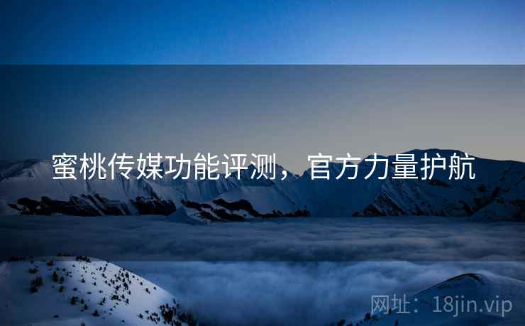 蜜桃传媒功能评测，官方力量护航
