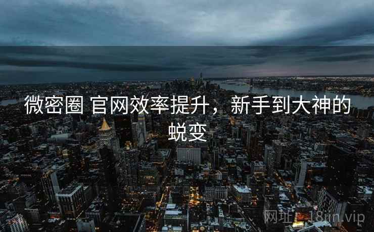 微密圈 官网效率提升，新手到大神的蜕变