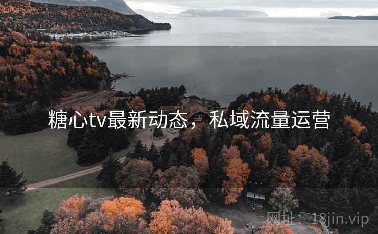 糖心tv最新动态，私域流量运营