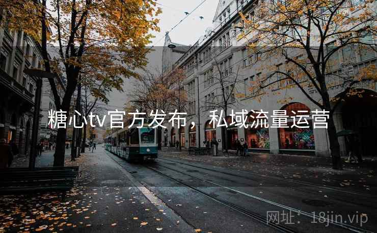 糖心tv官方发布，私域流量运营