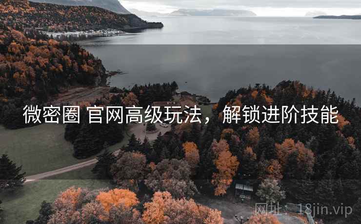微密圈 官网高级玩法,解锁进阶技能 微密圈 官网高级玩法,解锁进阶技能